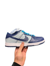 Nike SB Dunk 304292 143 45