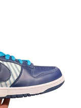 Nike SB Dunk 304292 143 45